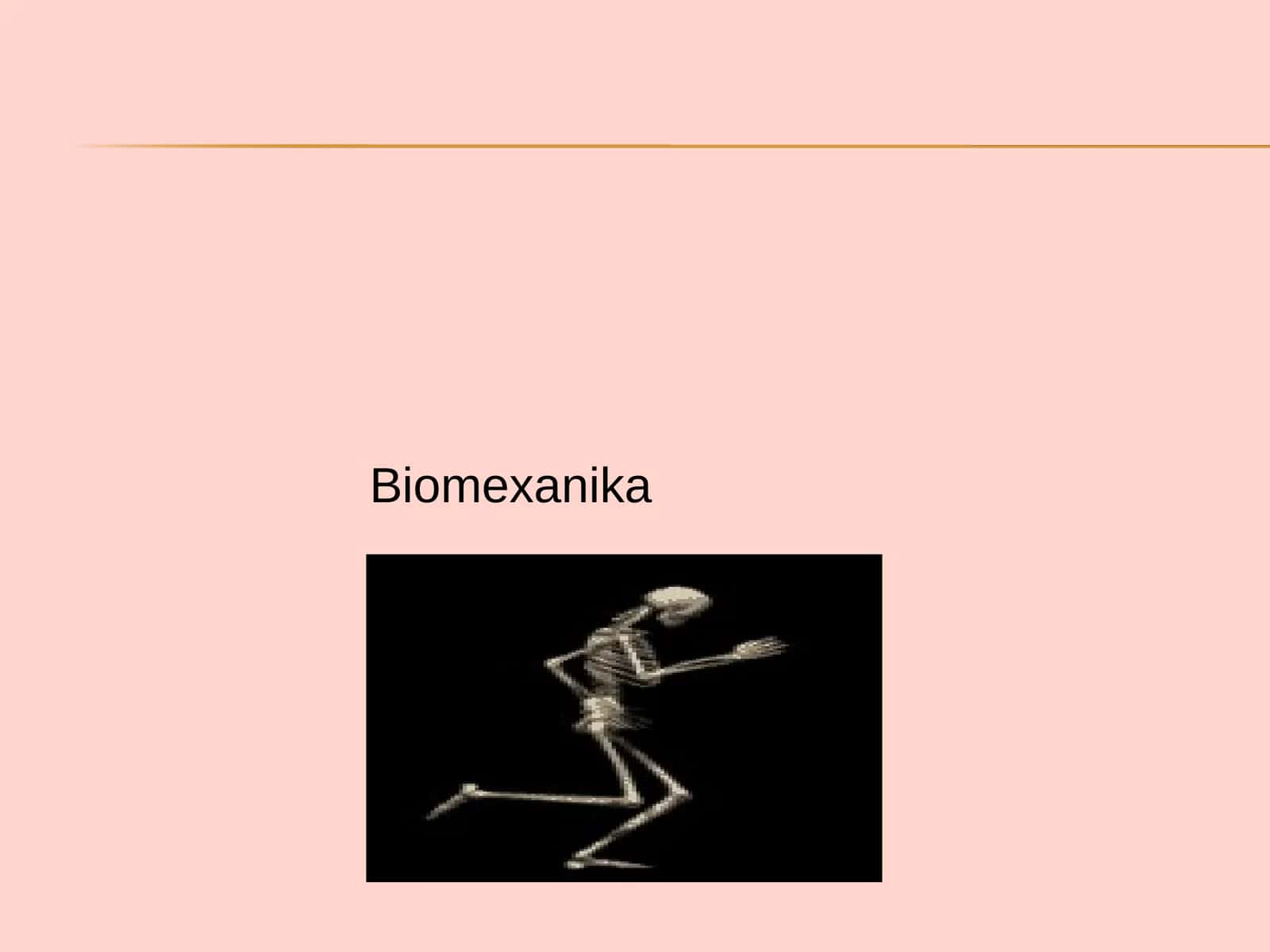 Biomexanika 1