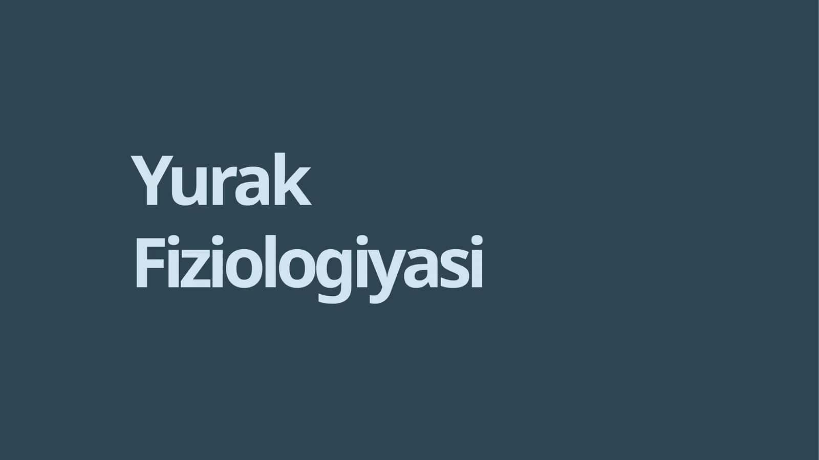 YurakFiziologiyasi 1