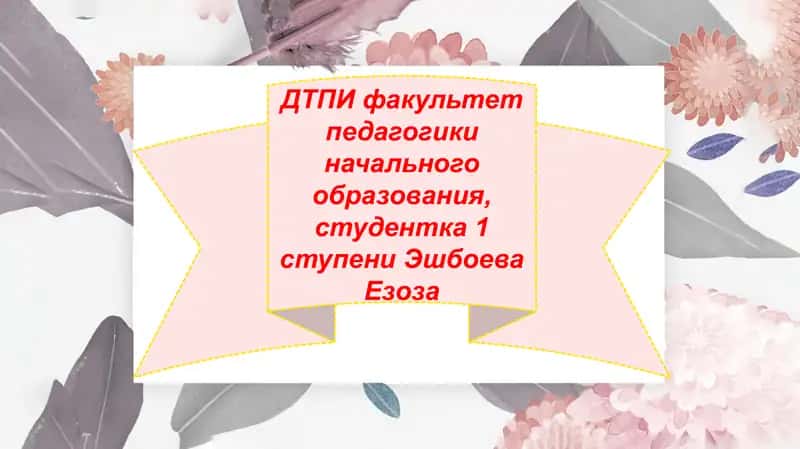 ДТПИ факультет педагогики начального образования 1
