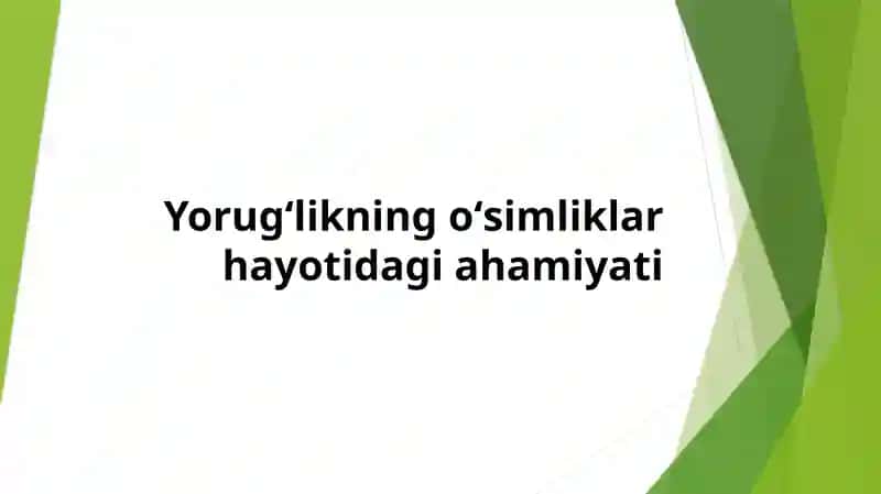 Yorugʻlikning oʻsimliklar hayotidagi ahamiyati