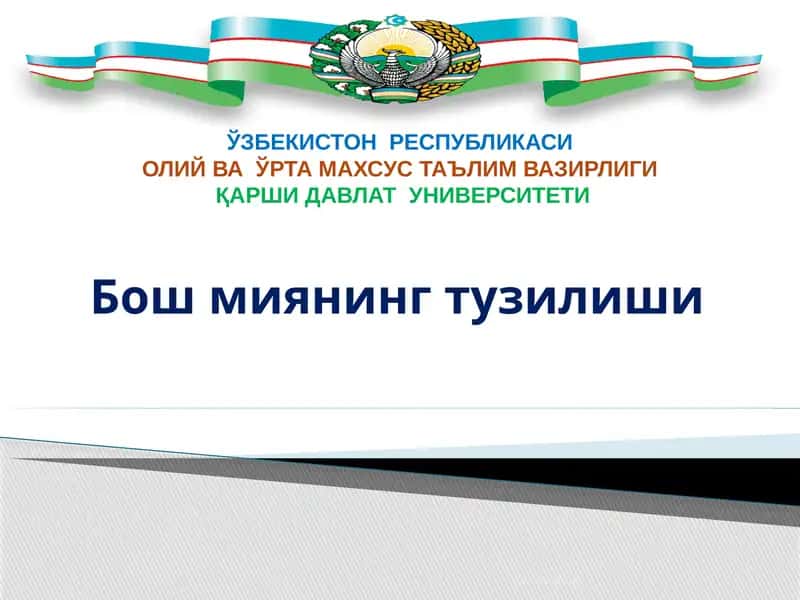 Бош миянинг тузилиши 1