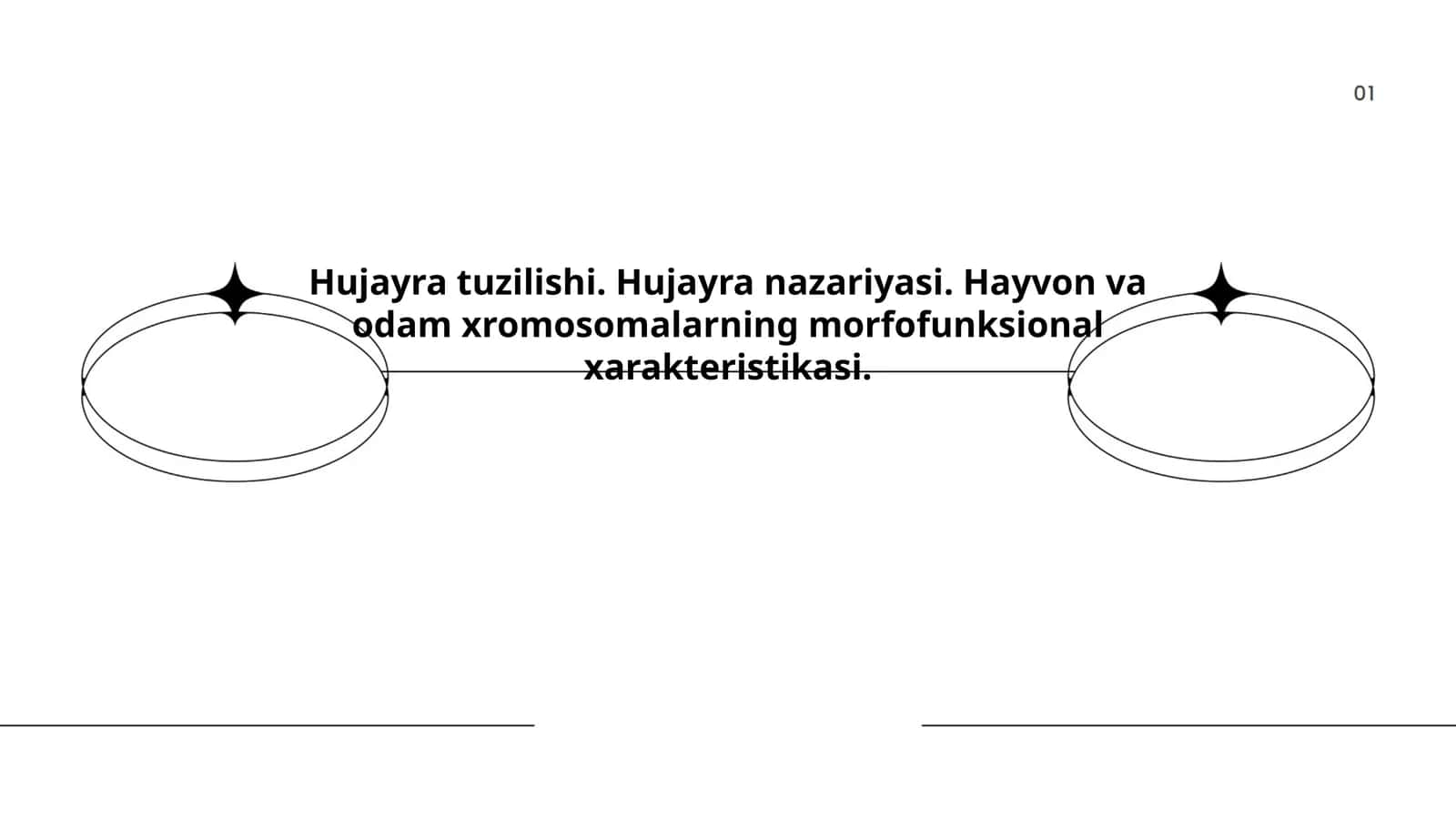 Hujayra tuzilishi. Hujayra nazariyasi. Hayvon va odam xromosomalarning morfofunksional xarakteristikasi 1