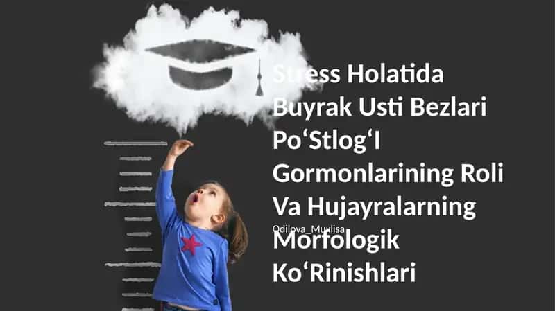 Stress Holatida Buyrak Usti Bezlari PoʻStlogʻI Gormonlarining Roli Va Hujayralarning Morfologik KoʻRinishlari 1