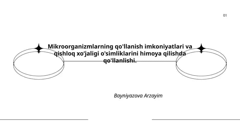 Mikroorganizmlarning qo'llanish imkoniyatlari va qishloq xoʻjaligi o'simliklarini himoya qilishda qo'llanlishi 1