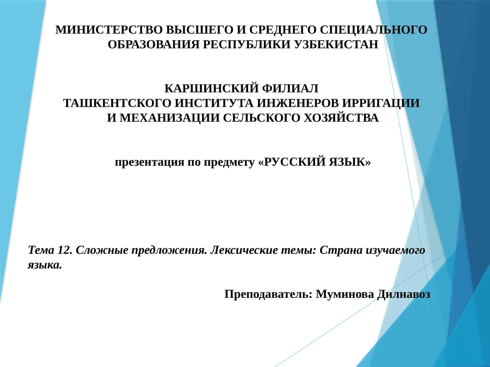 Презентация по предмету «Русский язык» 1