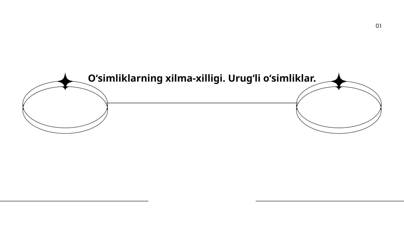 Urug'li o'simliklar dunyoda 1