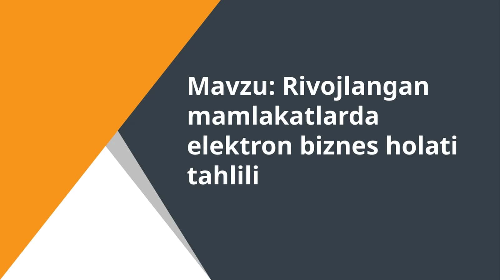 Rivojlangan mamlakatlarda elektron biznes holati tahlili 1