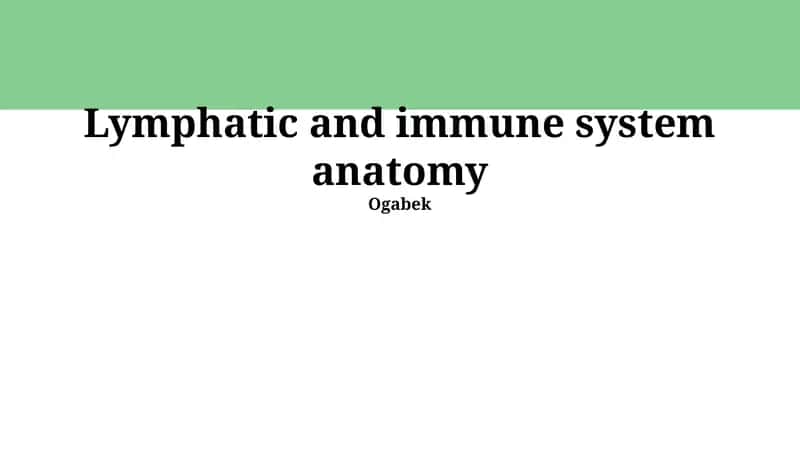 Lymphatic and immune system anatomy 1