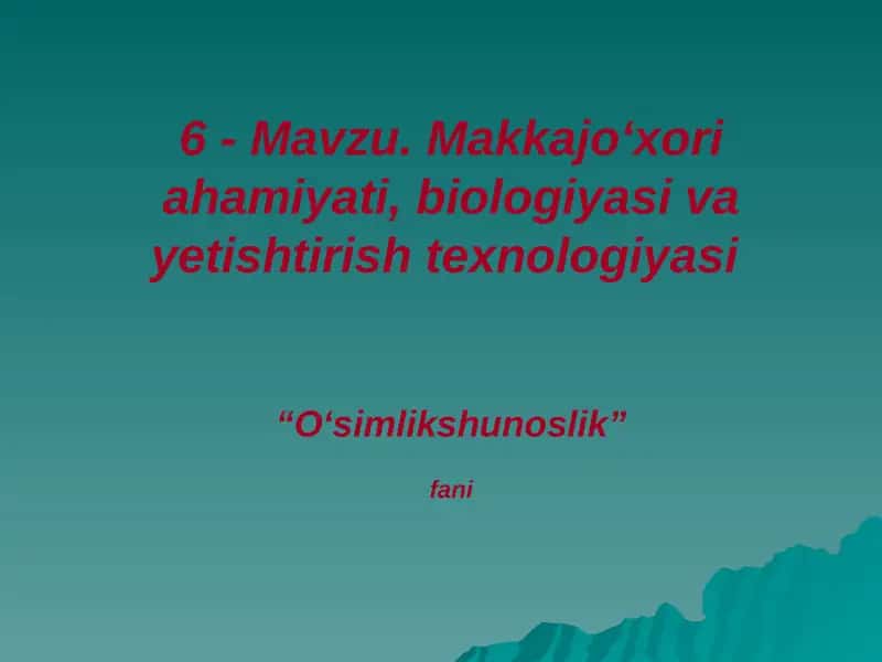 Makkajo‘xori ahamiyati, biologiyasi va yetishtirish texnologiyasi 1