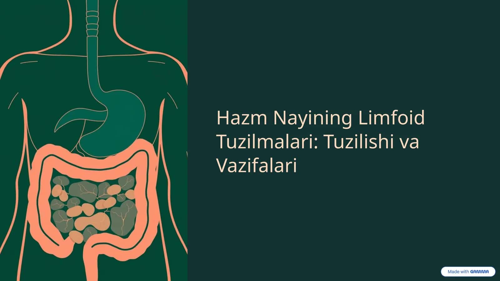 Hazm Nayining Limfoid Tuzilmalari: Tuzilishi va Vazifalari 1