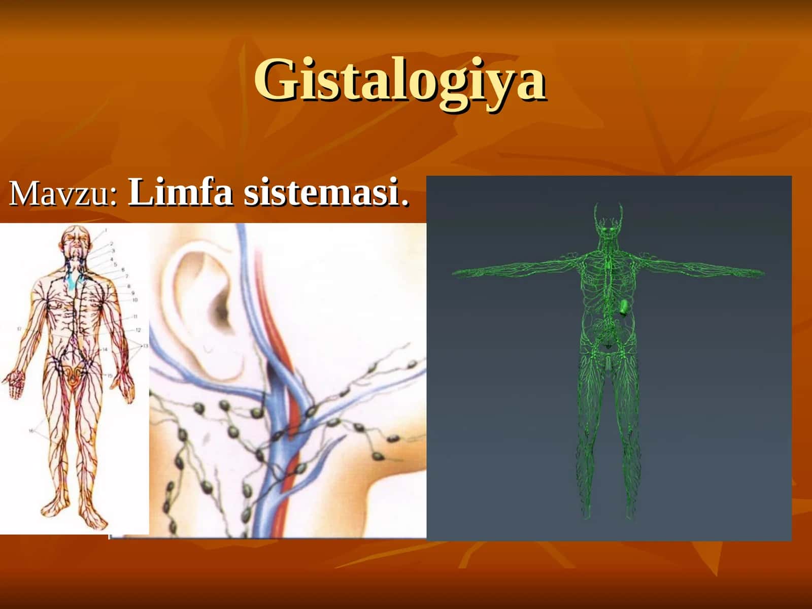 Limfa sistemasi 1