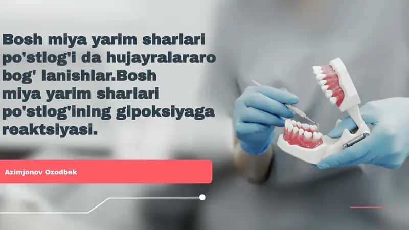 Bosh miya yarim sharlari po'stlog'i da hujayralararo bog' lanishlar.Bosh miya yarim sharlari po'stlog'ining gipoksiyaga reaktsiyasi 1