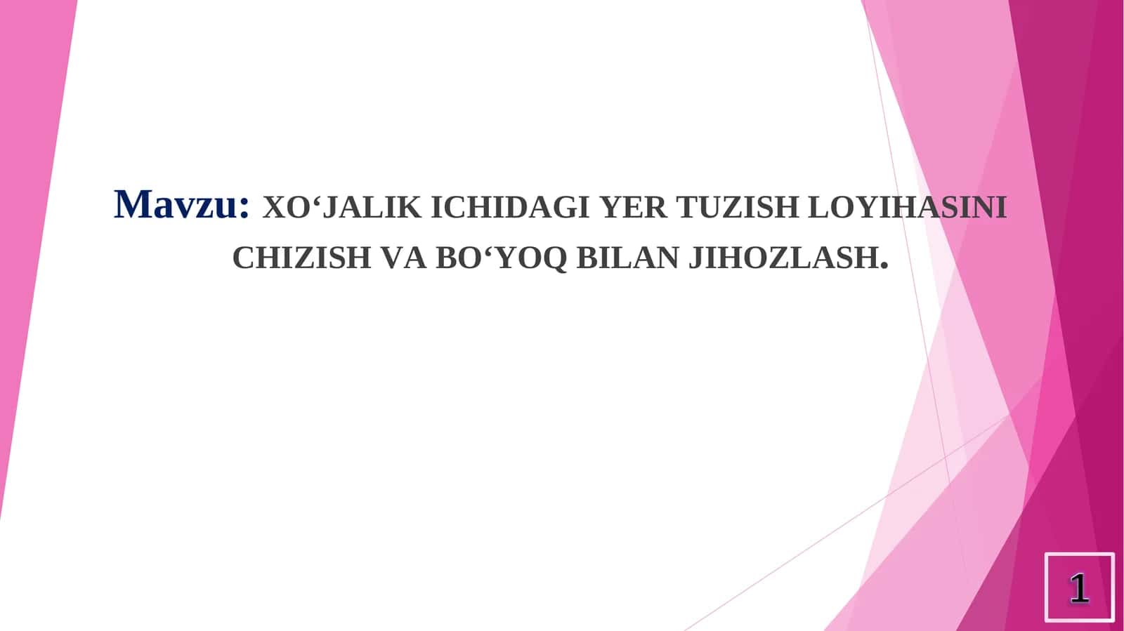 XO‘JALIK ICHIDAGI YER TUZISH LOYIHASINI CHIZISH VA BO‘YOQ BILAN JIHOZLASH 1