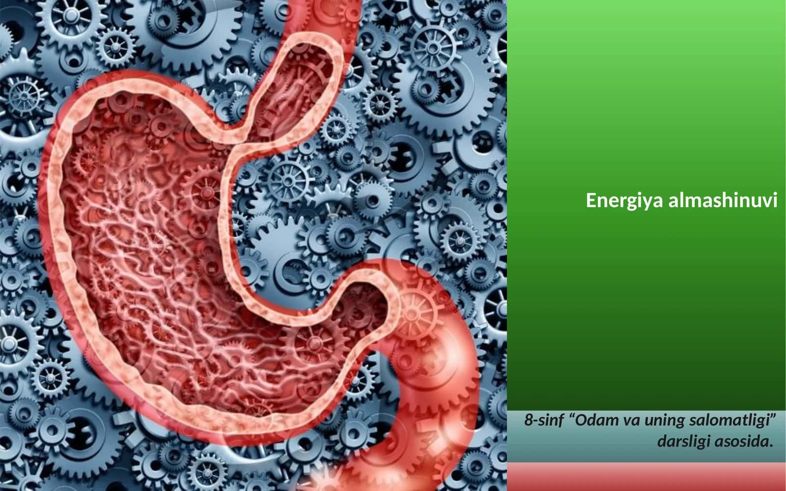 Energiya almashinuvi 1