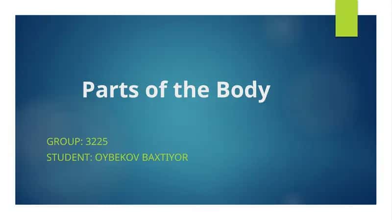Parts of the Body 1