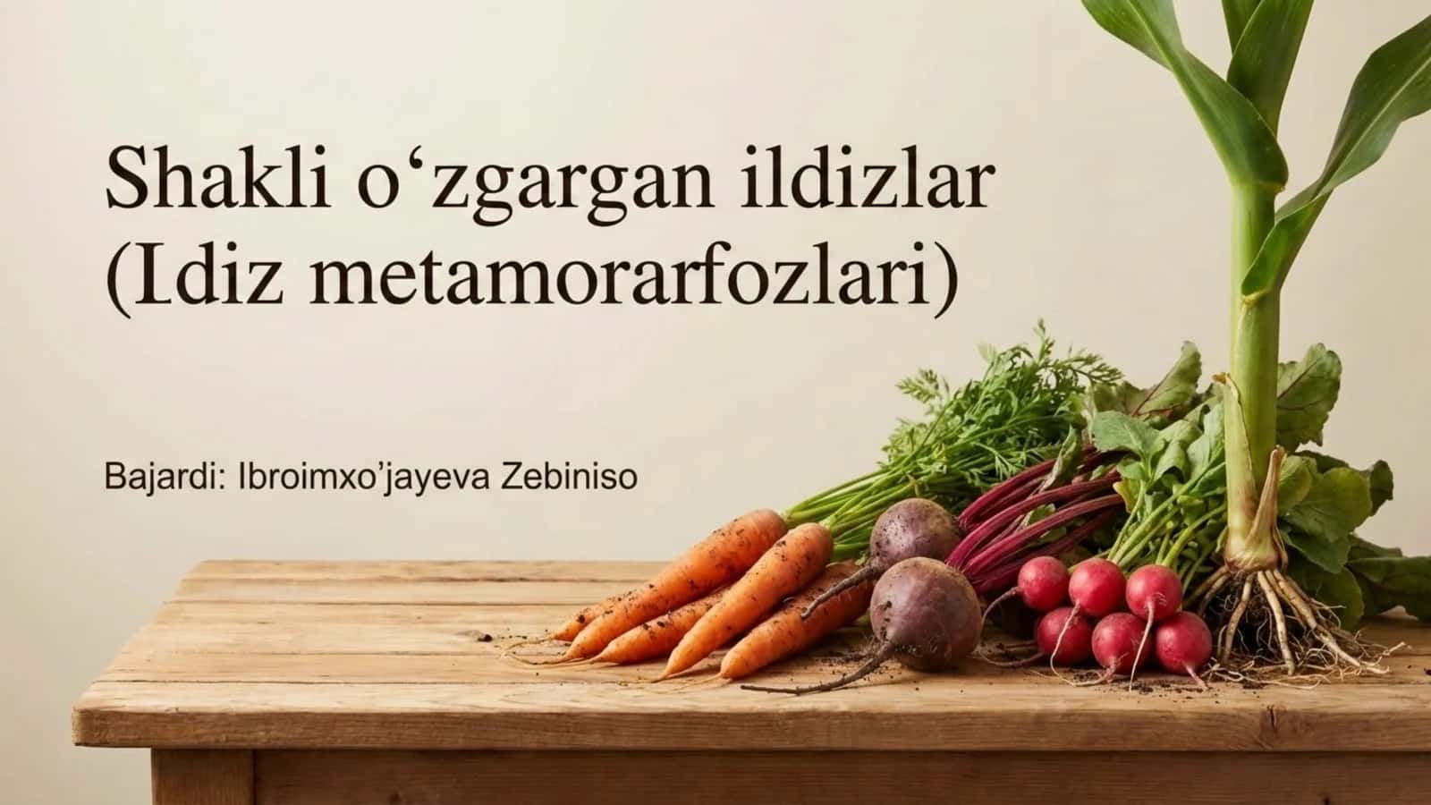 Shakli o'zgargan ildizlar 1