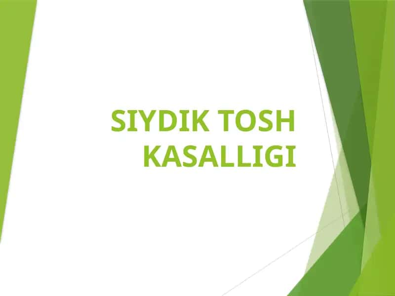 SIYDIK TOSH KASALLIGI 1