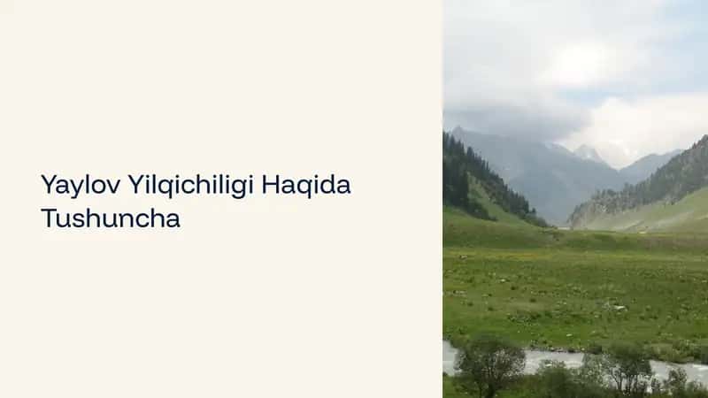 Yaylov Yilqichiligi Haqida Tushuncha 1