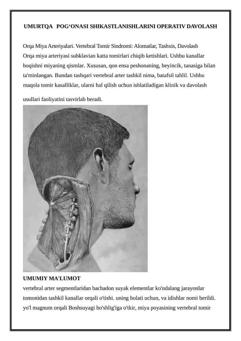 Orqa Miya Arteriyalari. Vertebral Tomir Sindromi: Alomatlar, Tashxis, Davolash 1
