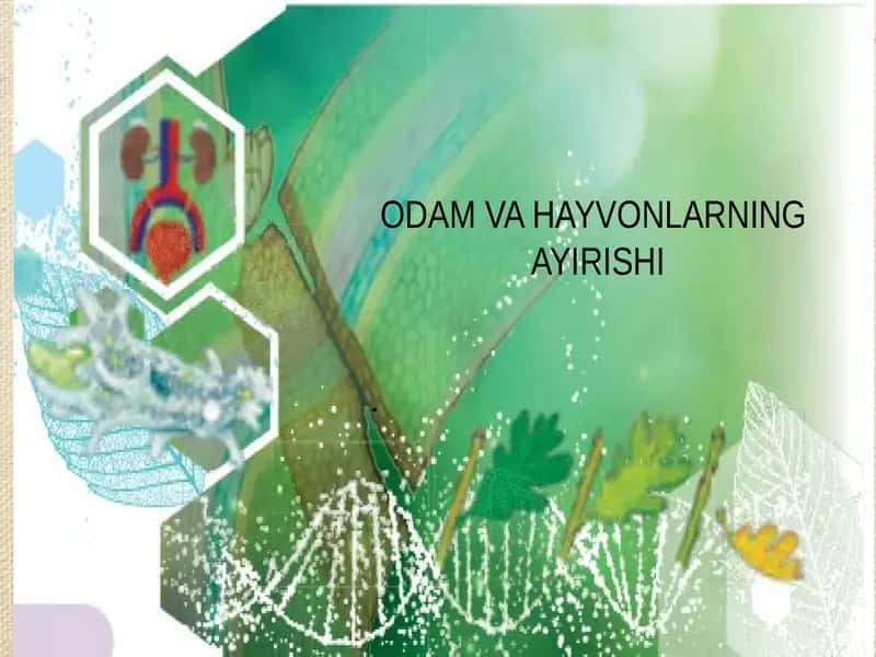 Odam va hayvonlarning ayirishi 1