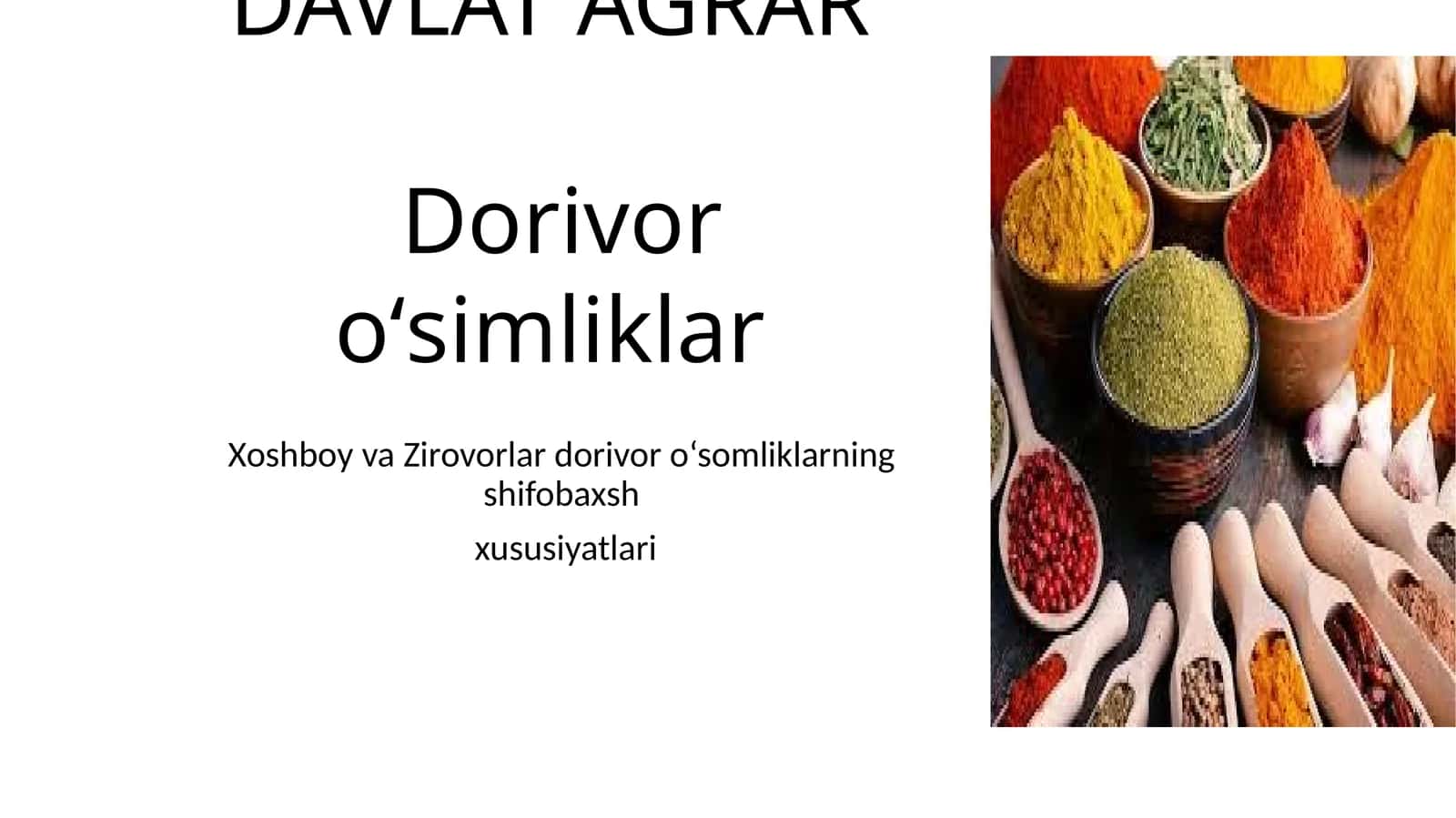 Xoshboy va Zirovorlar dorivor o‘somliklarning shifobaxsh xususiyatlari 1