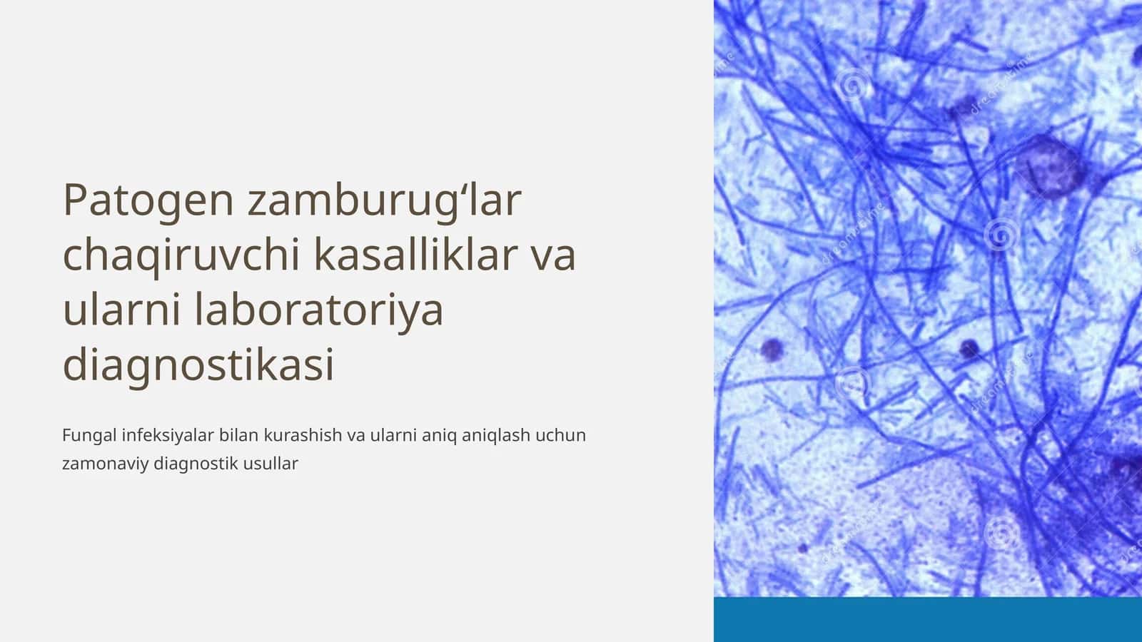 Patogen zamburugʻlar chaqiruvchi kasalliklar va ularni laboratoriya diagnostikasi 1