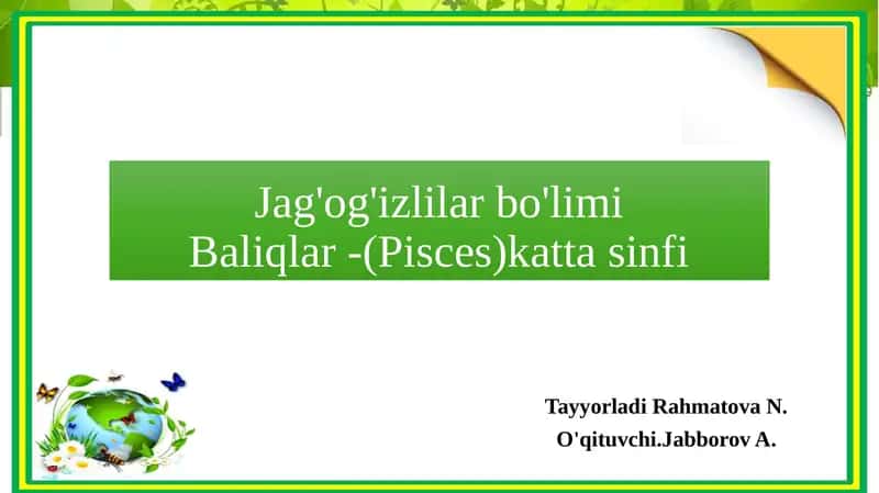 Baliqlar (Pisces) Katta Sinfi 1