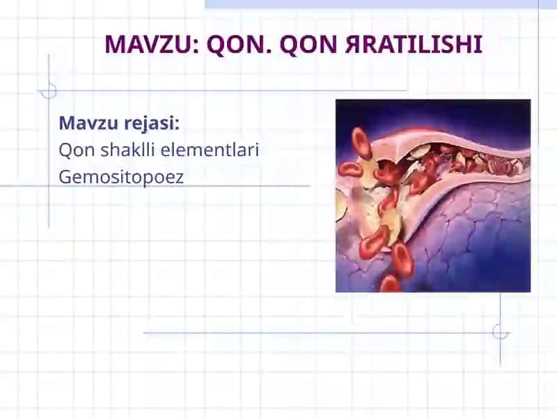 QON. QON ЯRATILISHI
