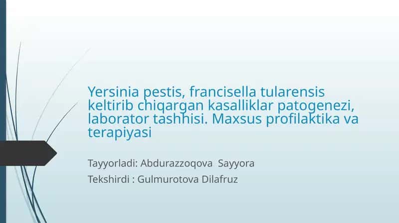 Yersinia pestis 1