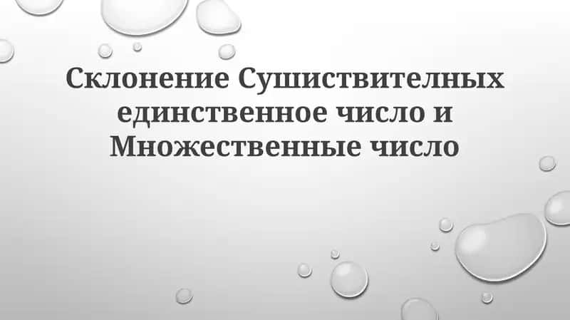 СклонениеСушиствителныхединственноечислоиМножественныечисло 1