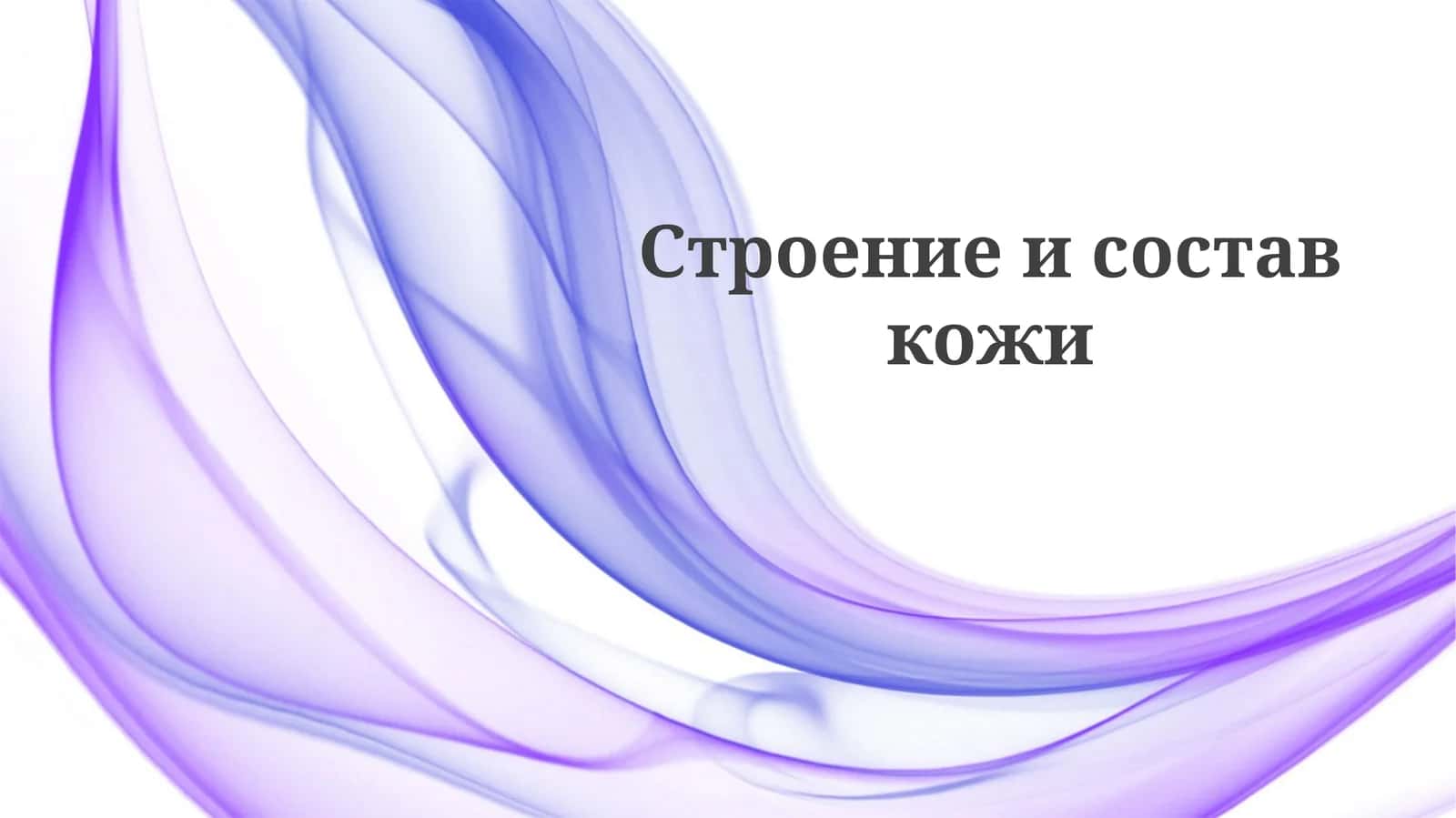 Строение и состав кожи 1