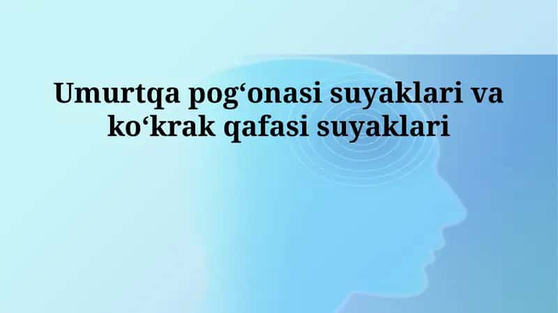 Umurtqa pogʻonasi suyaklari va koʻkrak qafasi suyaklari 1
