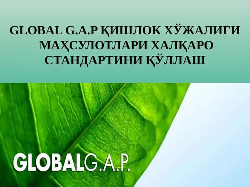 GLOBALG.A.P ҚИШЛОКХЎЖАЛИГИМАҲСУЛОТЛАРИХАЛҚАРО СТАНДАРТИНИ ҚЎЛЛАШ 1