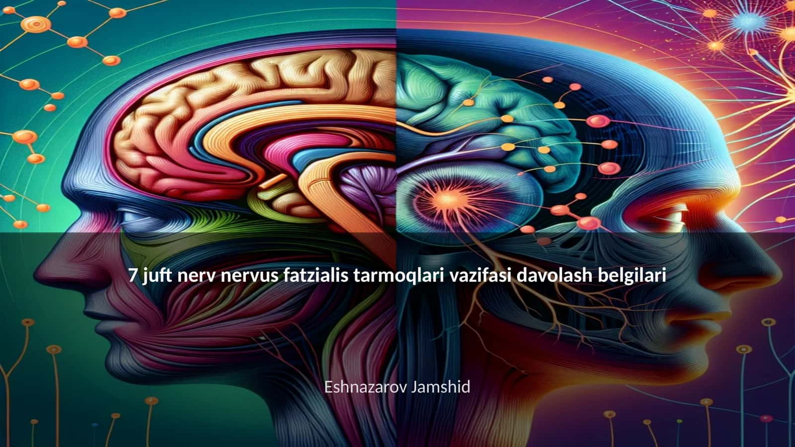 Nervus fatzialis tarmoqlari vazifasi davolash belgilari 1