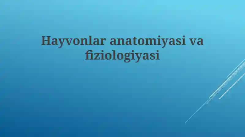 Hayvonlar anatomiyasi va fiziologiyasi