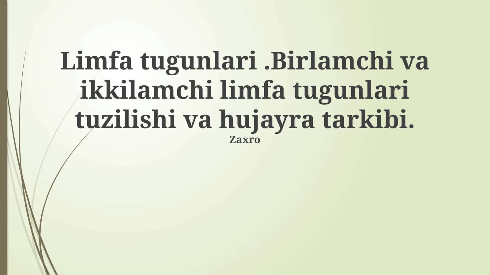 Limfa tugunlari.Birlamchi va ikkilamchi limfa tugunlari tuzilishi va hujayra tarkibi 1