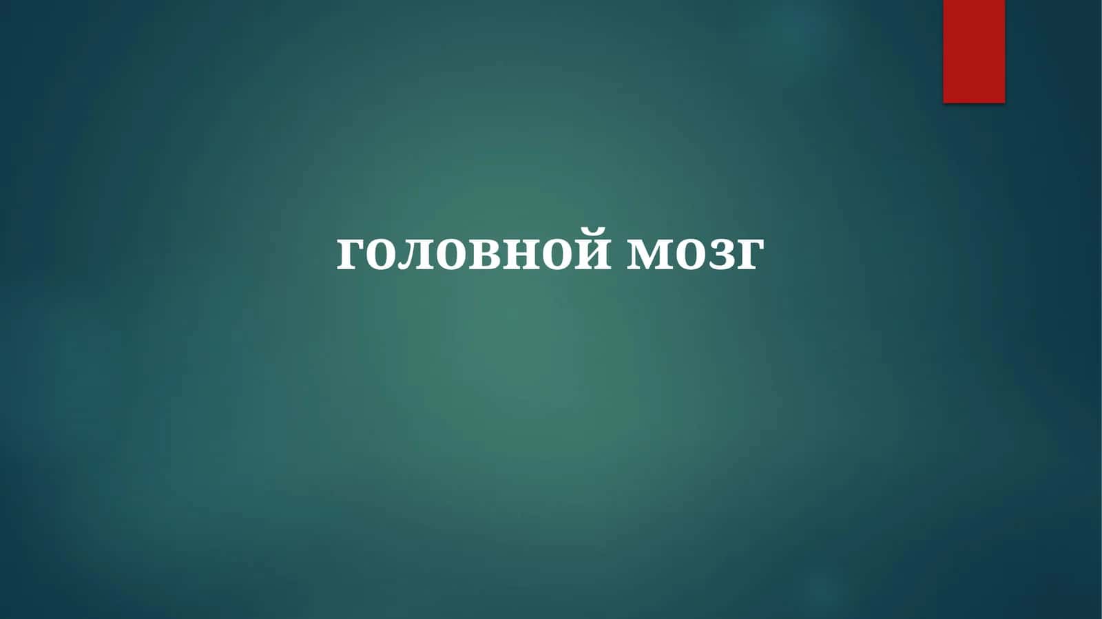 Основные Функции Мозга 1