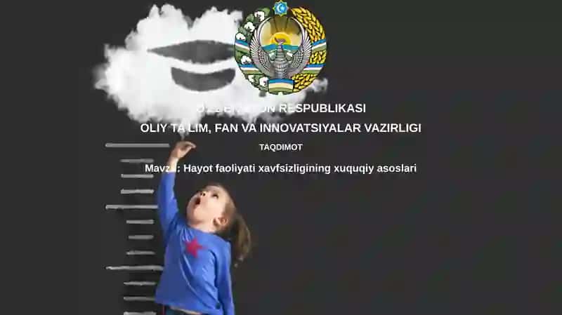 Hayot xavfsizligining huquqiy asoslari va me'yoriy hujjatlar tizimi