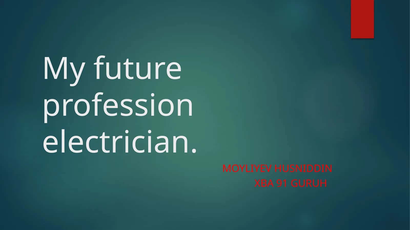 My future profession electrician 1