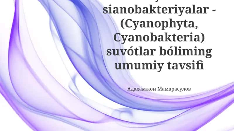 Kôk yashil sianobakteriyalar -(Cyanophyta, Cyanobakteria) suvótlar bóliming umumiy tavsifi 1