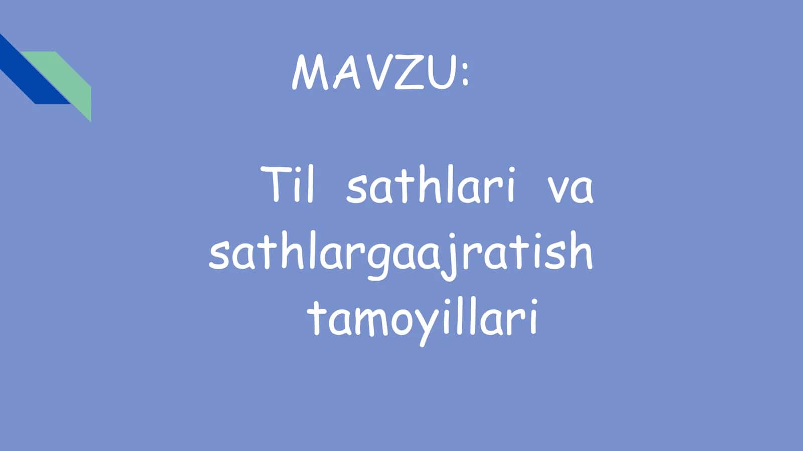 Til sathlari  va sathlarga ajratish tamoyillari 1