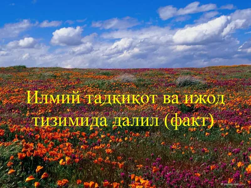 Илмий тадқиқот ва ижод тизимида далил (факт) 1