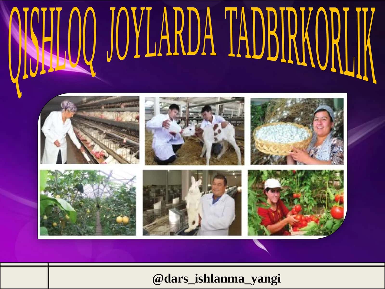 QISHLOQ JOYLARDA TADBIRKORLIK 1
