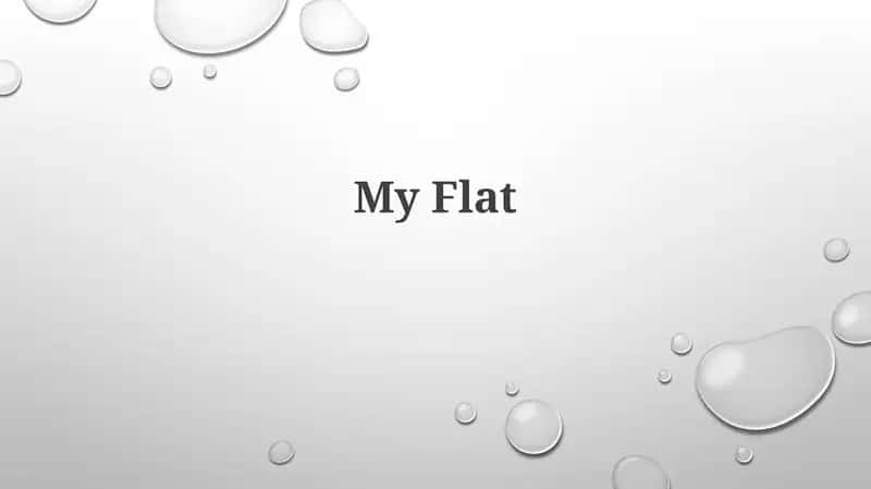 My Flat 1