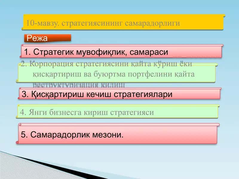 10-мавзу. стратегиясининг самарадорлиги 1