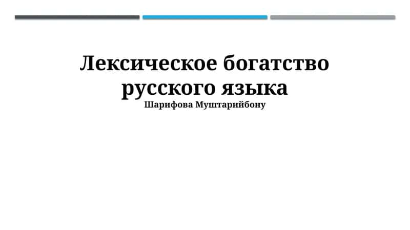 Лексическое богатство русского языка 1