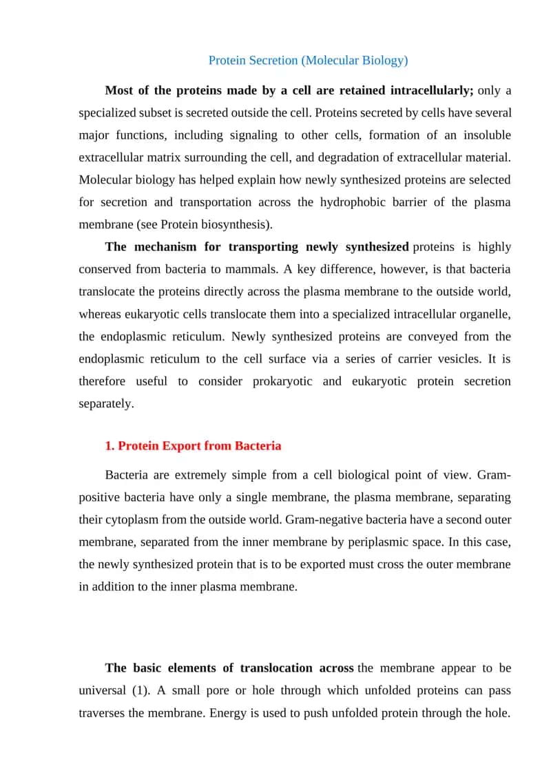 Protein Secretion (Molecular Biology) 1