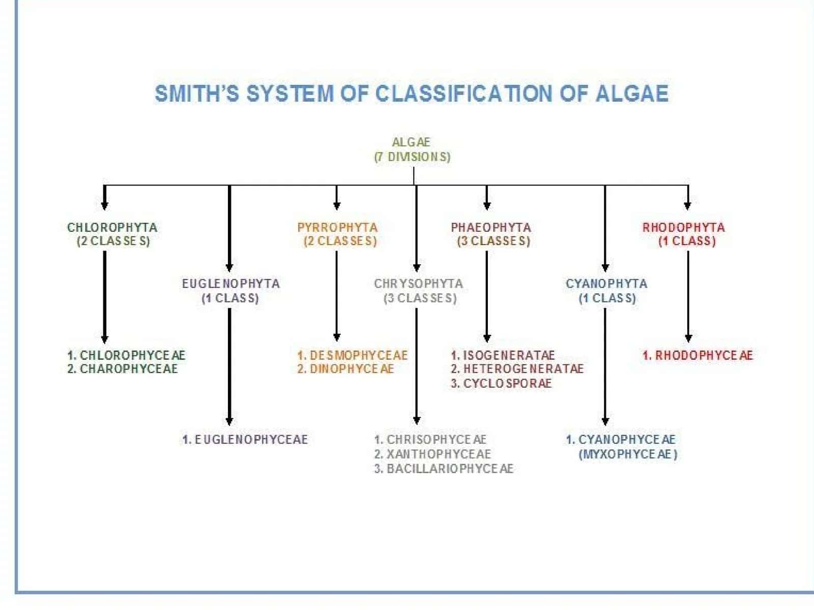 Blue-green algae as bio-indicators 1