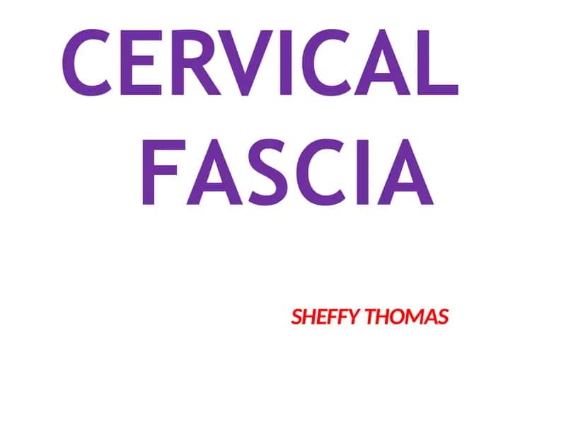 Cervical Fascia 1