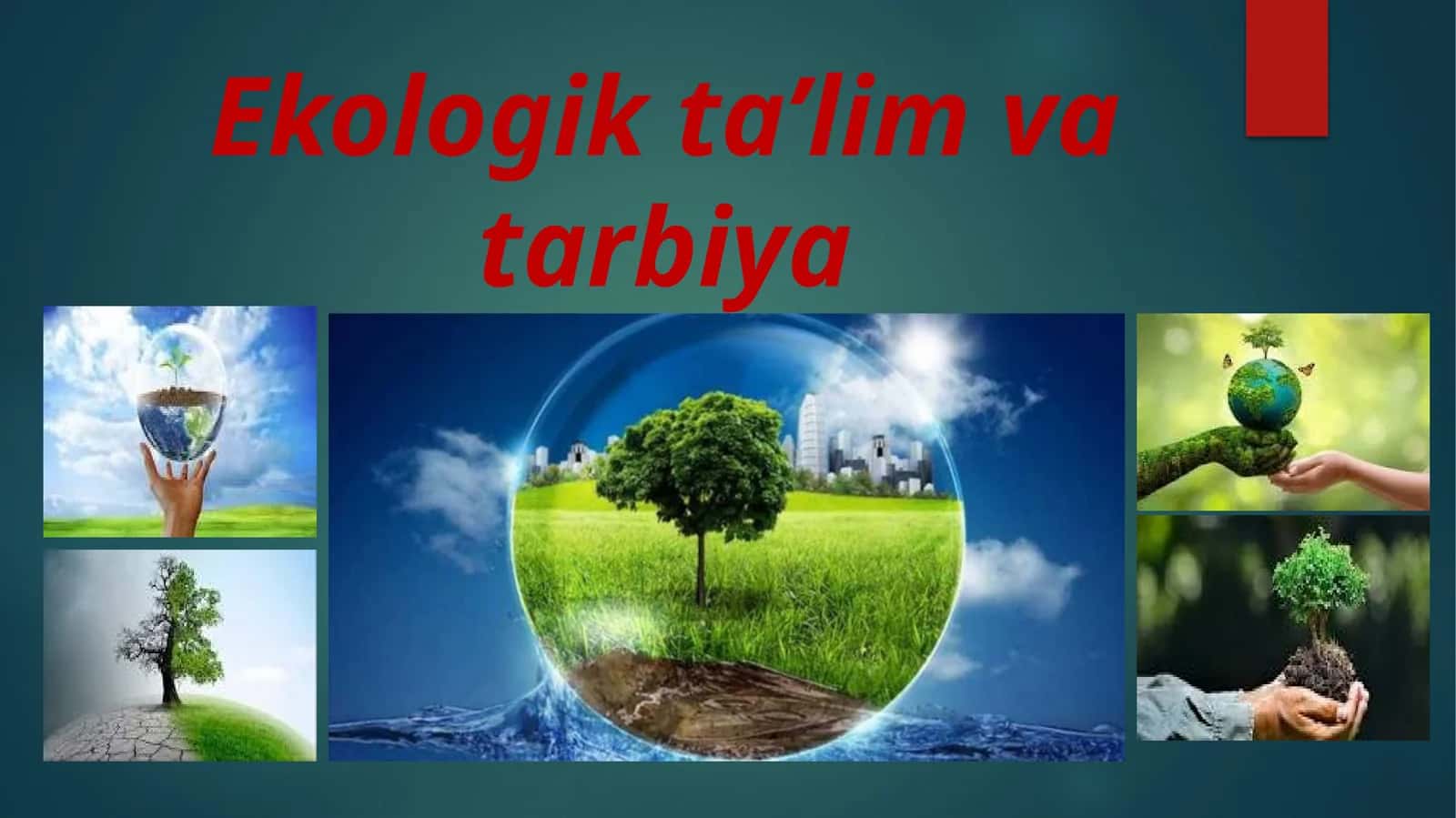 Ekologik ta’lim va tarbiya 1